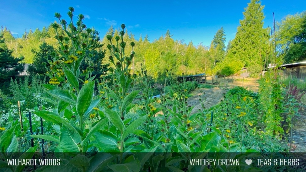 Farm photo