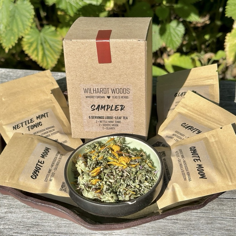 Sampler Collection box and tea packets